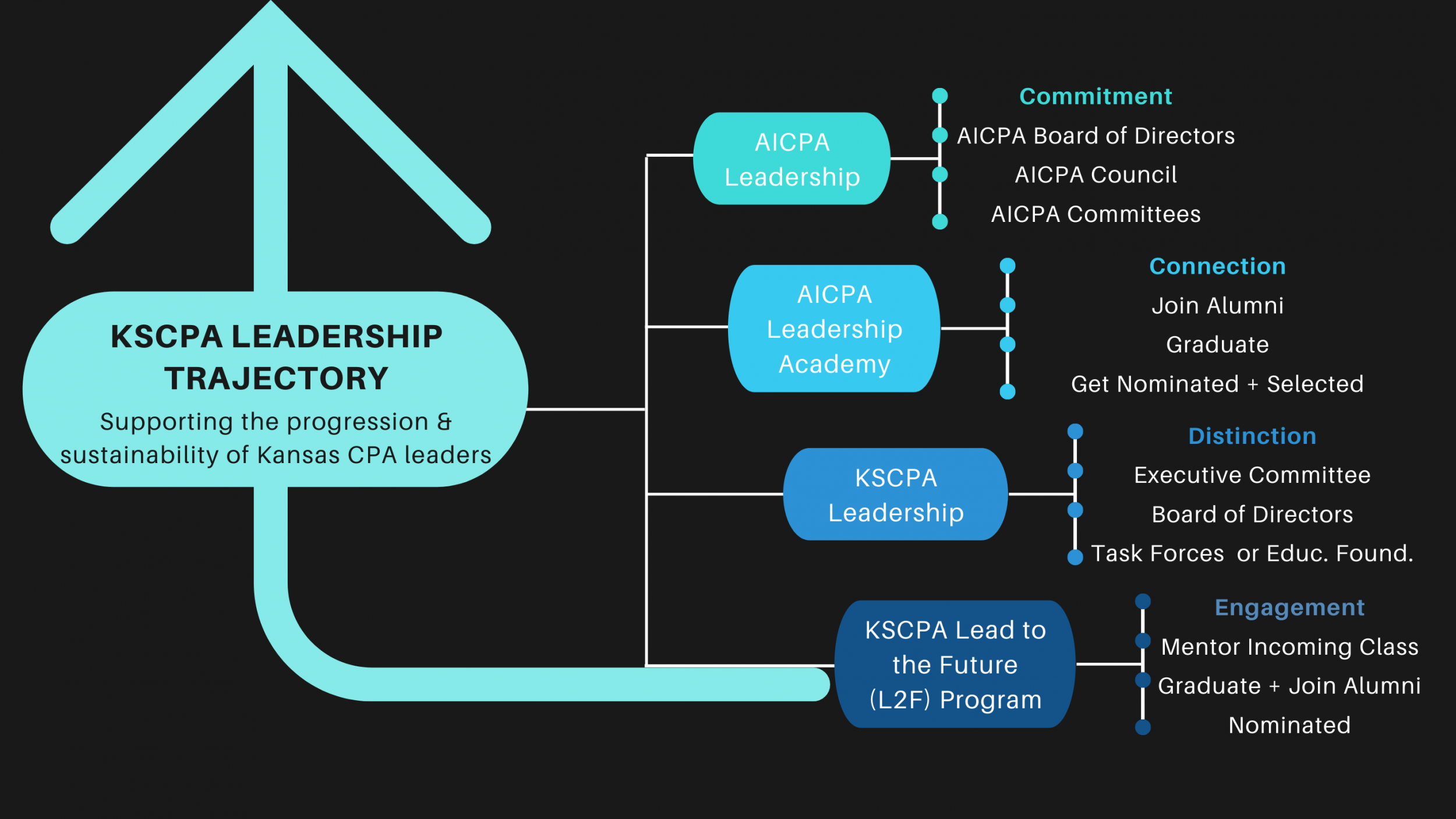 leadership trajectory